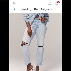 NWT Abercrombie & Fitch Curve Love High Rise Dad Jeans, 24/00 short